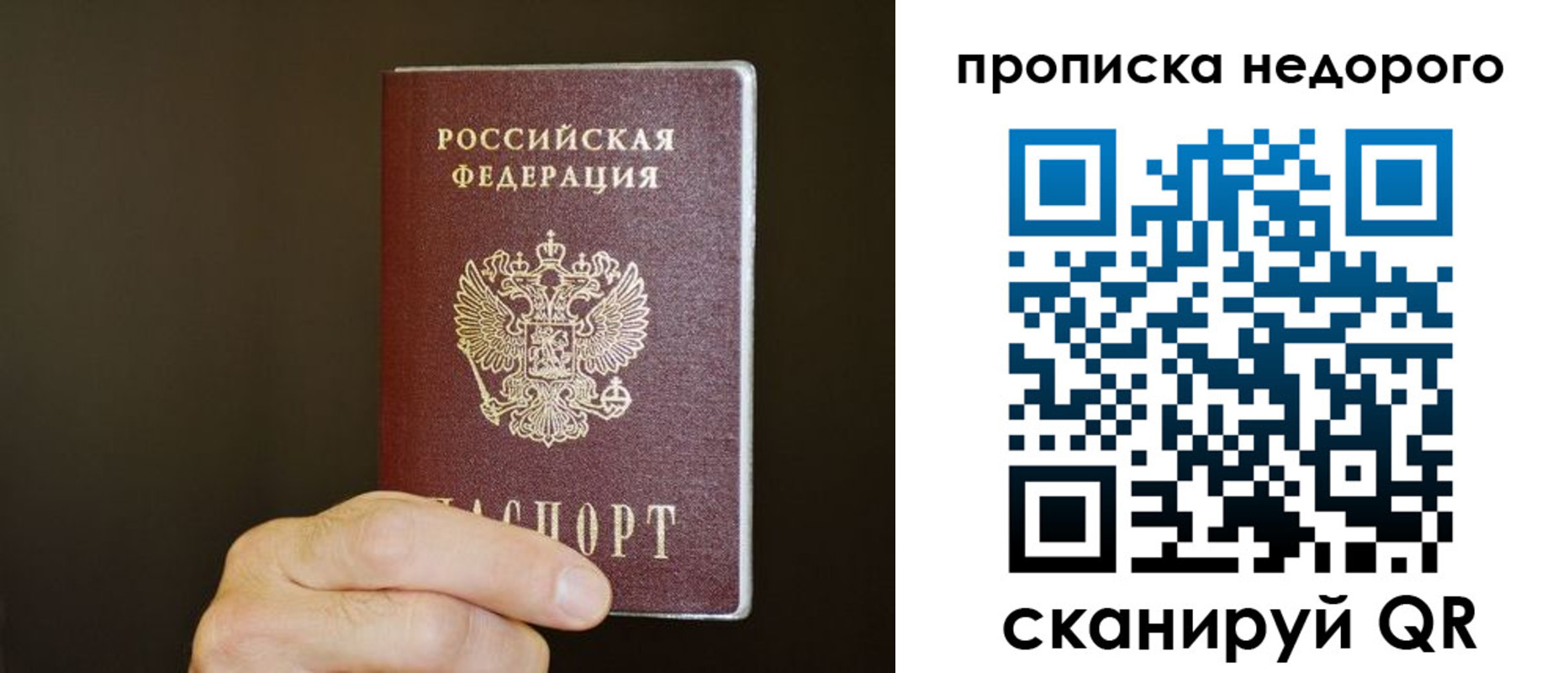 прописка в квартире в Чкаловске